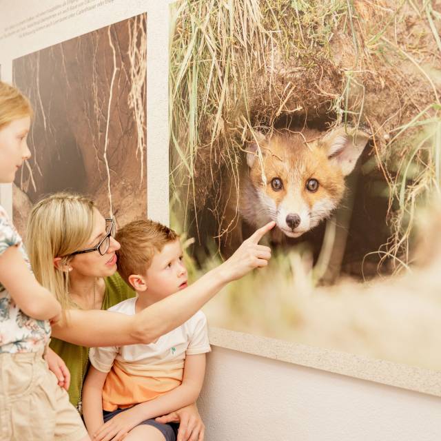 Mother and children stand in front of fox picture