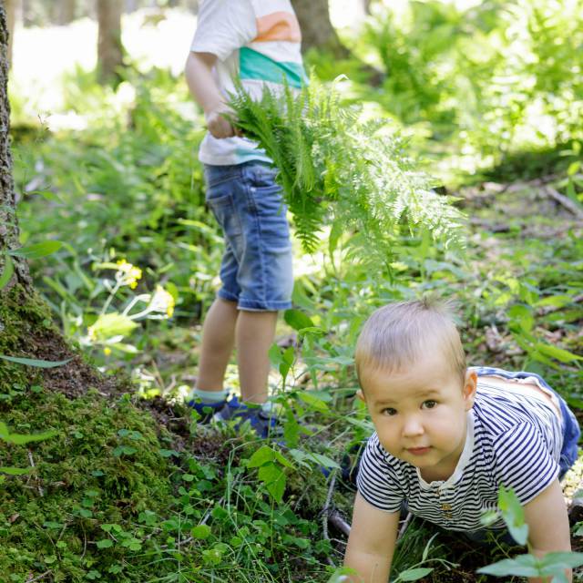 Children playing in the forest