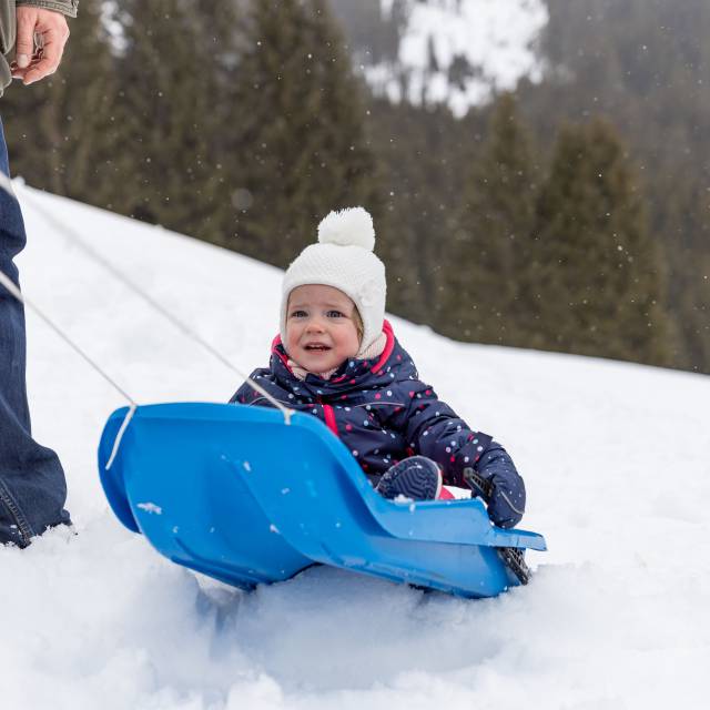 A walk through the snow on a sledge