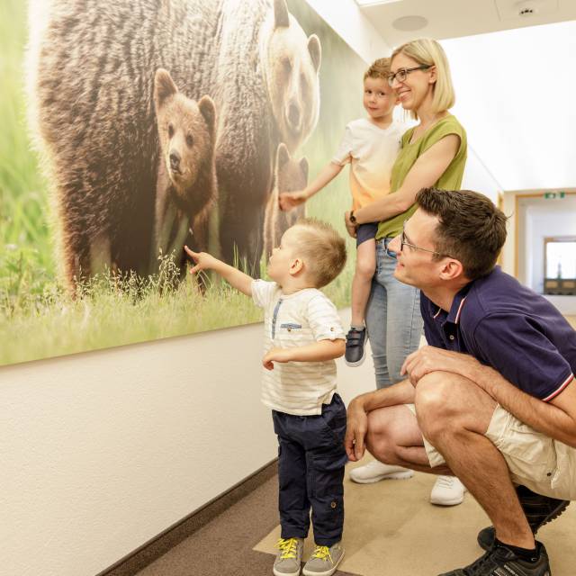 Family standing in front of a large mural with bears on it