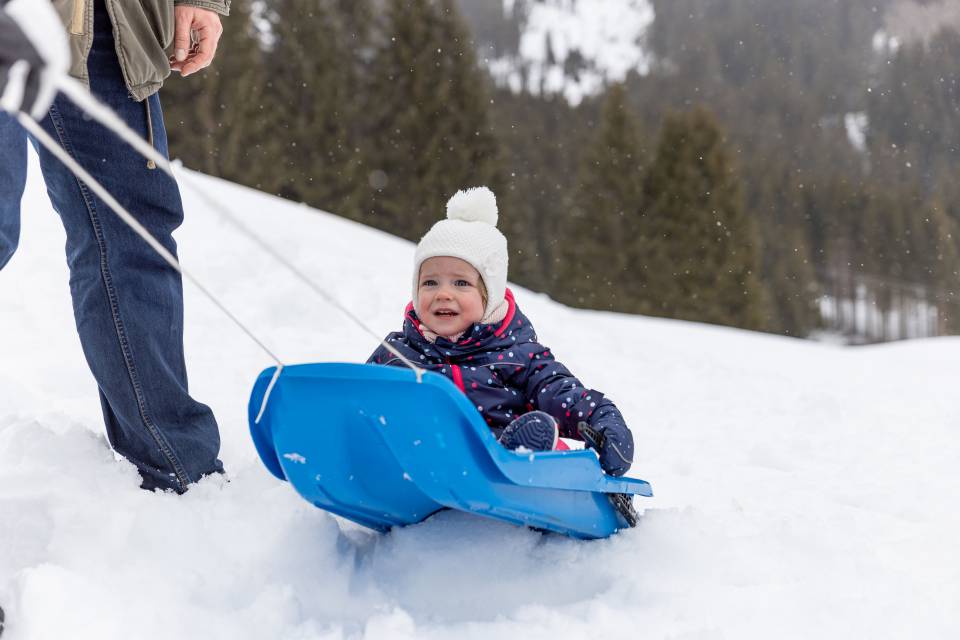 A walk through the snow on a sledge